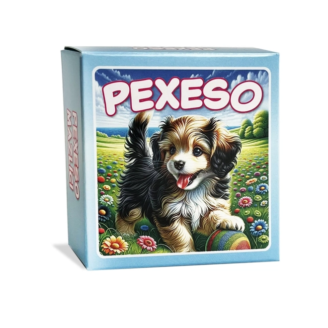 Memory Game Pets in a Box - Blue