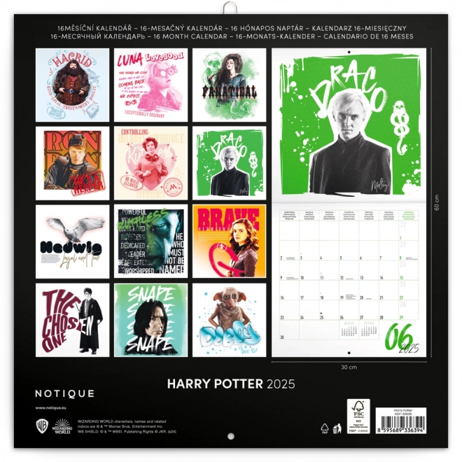 Harry Potter Wall Calendar 2025