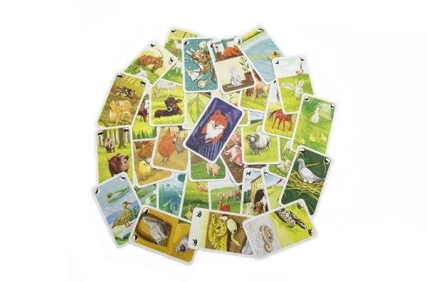 Animal Black Peter Card Game