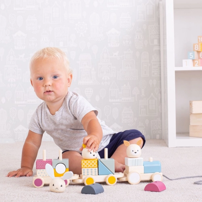 Bigjigs Baby Wooden Animal Train