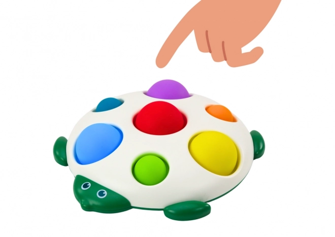 Sensory Turtle Educational Toy Pop-It