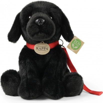 Leash for even more fun