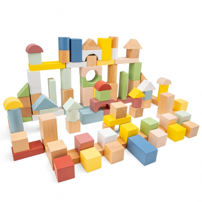 Wooden Building Blocks Set - 100 Pieces