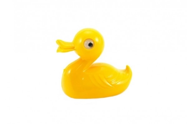 Duck Bath Toy