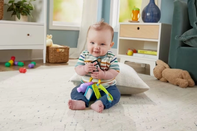 Chiavi attività FISHER-PRICE