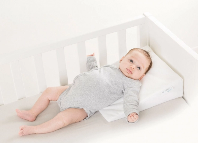 Rest Easy Baby Incline Sleeper Cushion