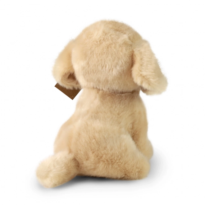 plush labrador eco-friendly