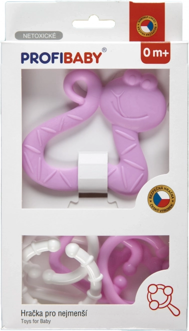 Teether and Clip Set for Babies