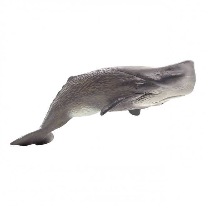 Realistic Sperm Whale Figurine