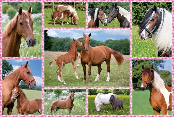 Beautiful Horses Puzzle 150 Pieces