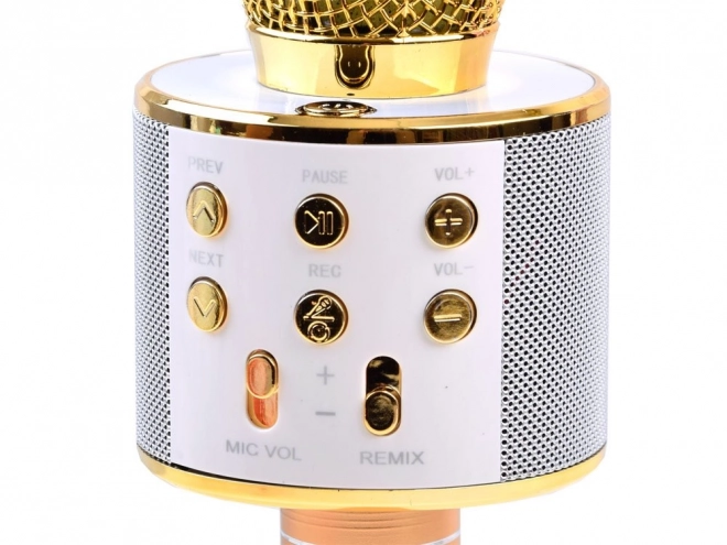 Wireless Karaoke Microphone Speaker – Gold