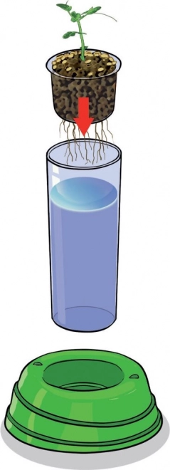 Clementoni Science & Play Hydroponic Botany Laboratory