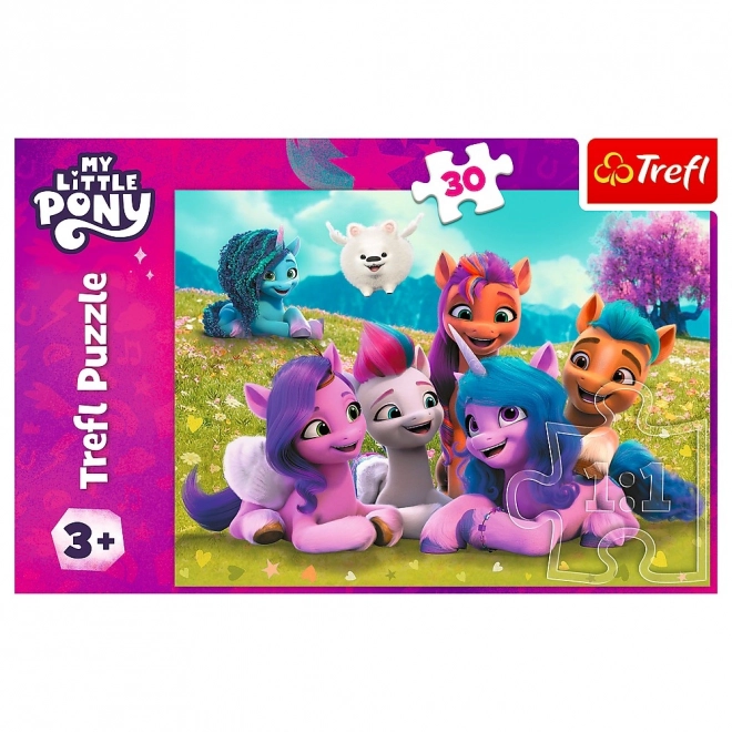 Friendly Ponies My Little Pony Puzzle