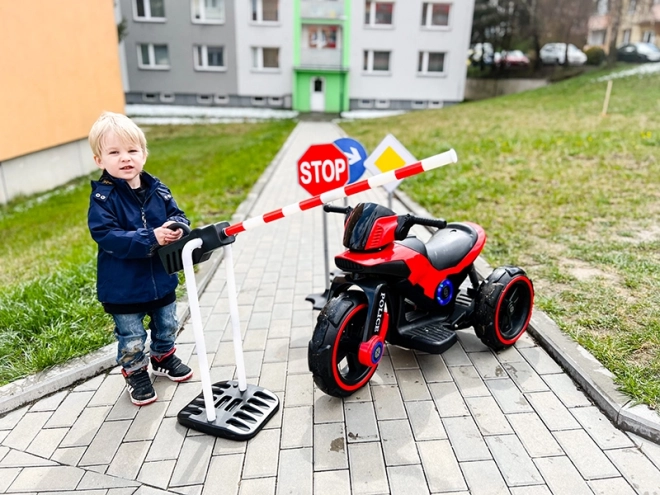 Traffic Signs Set for Kids