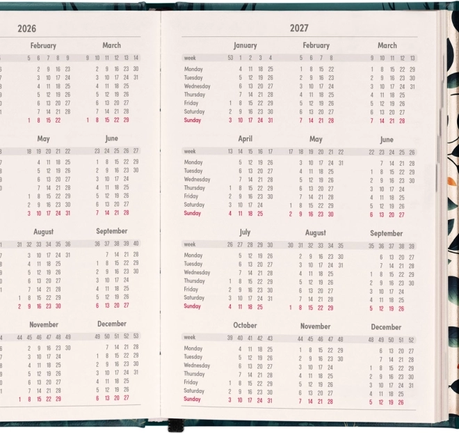 Notique Weekly Magnetic Diary Fox 2026, 11 x 16 cm