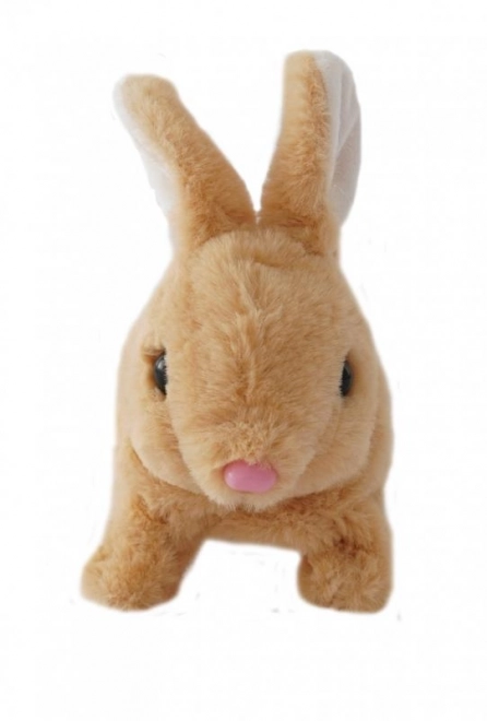Battery Operated Beige Bunny