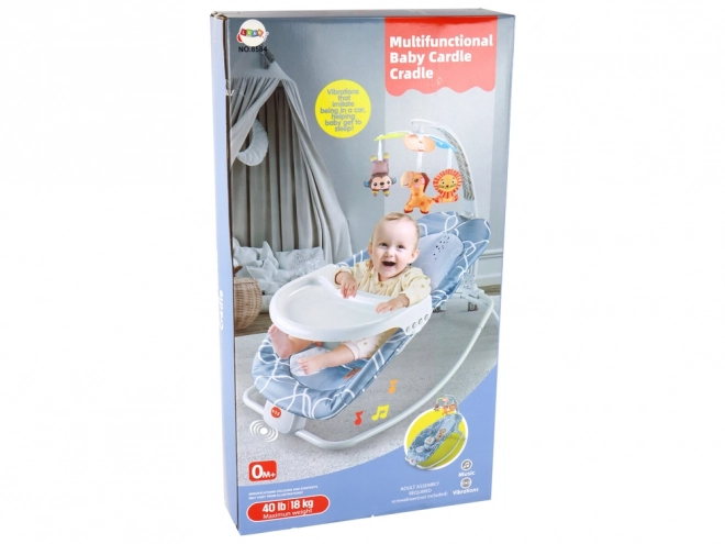 2-in-1 Baby Bouncer and Chair with Sounds and Vibration