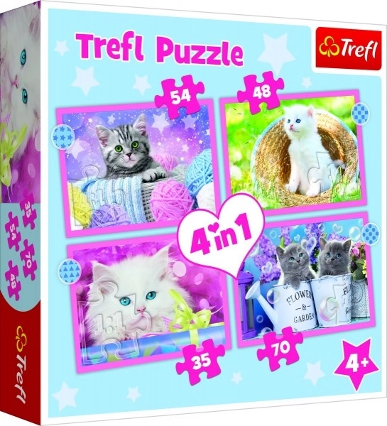 Funny Cats Puzzle 4-in-1