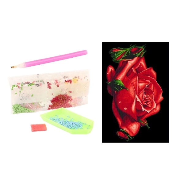 Diamond Painting Set with Accessories