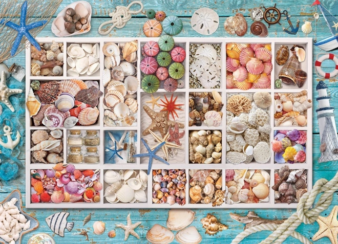 Eurographics Puzzle Laura's Shell Collection 1000 Pieces