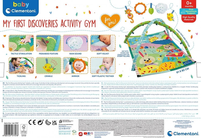 Baby Play Mat with Gym My First Discoveries