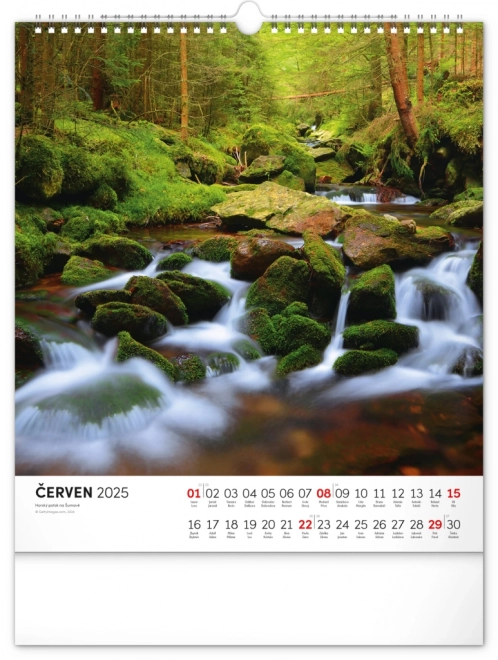 Wall Calendar Bohemian Forest 2025