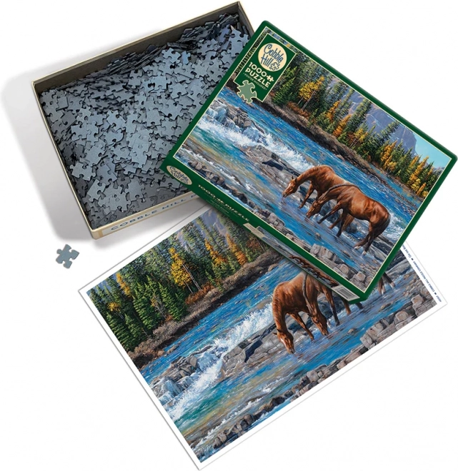 Cobble Hill Rocky Ford Puzzle 1000 Pieces