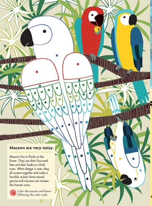 My Nature: Birds of the World Activity Book with Stickers