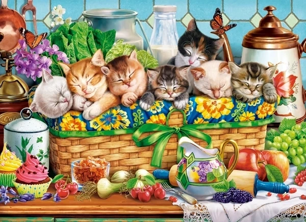 Sleeping Kittens Puzzle