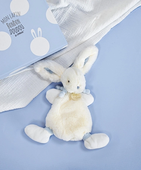 Plush Bunny Toy Gift Set