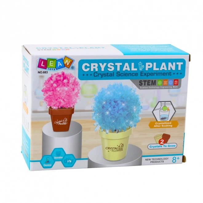 Educational Set Magic Crystal Tree