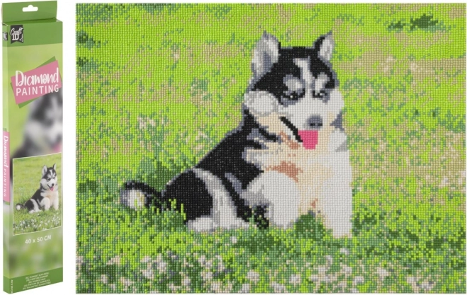 Diamond Painting Husky 40x50cm