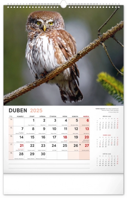 Notique Wall Calendar Most Interesting Animals 2025