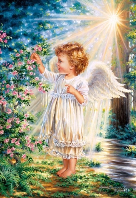 Castorland Angelic Touch Puzzle 1000 Pieces