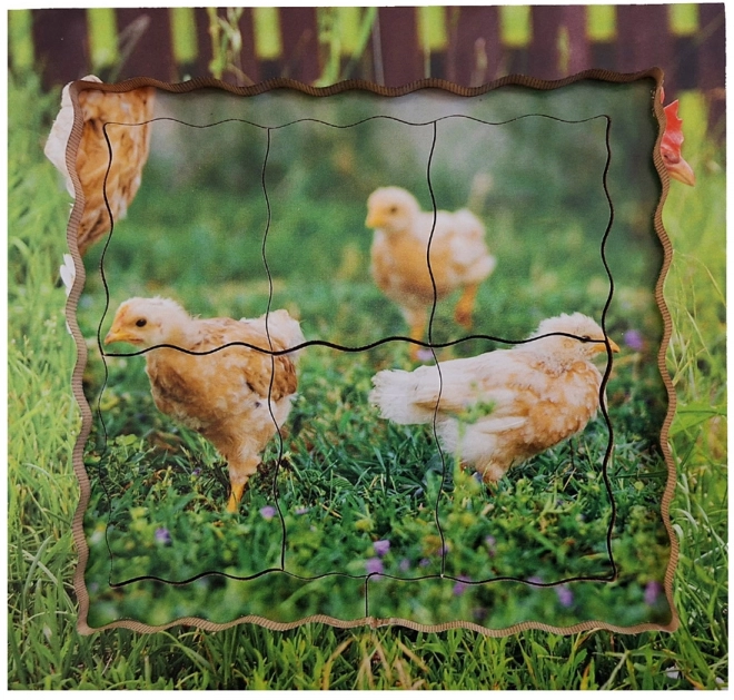 Chicken Life Cycle Wooden Layered Puzzle