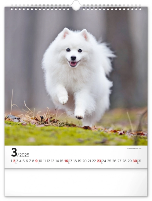 Notique Wall Calendar Dogs 2025