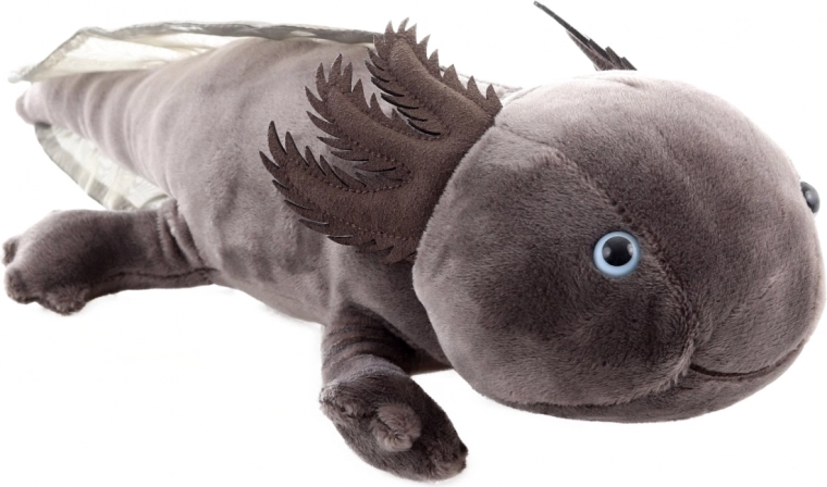 Sicuro dalla nascita