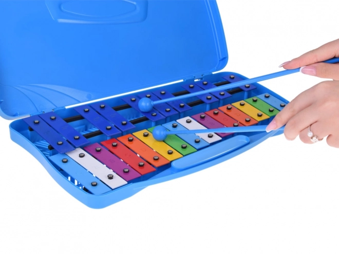 Chromatic Metal Xylophone for Children