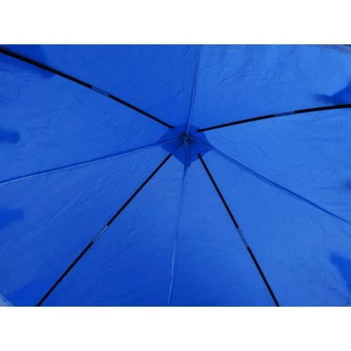 Blue Tent for Kids