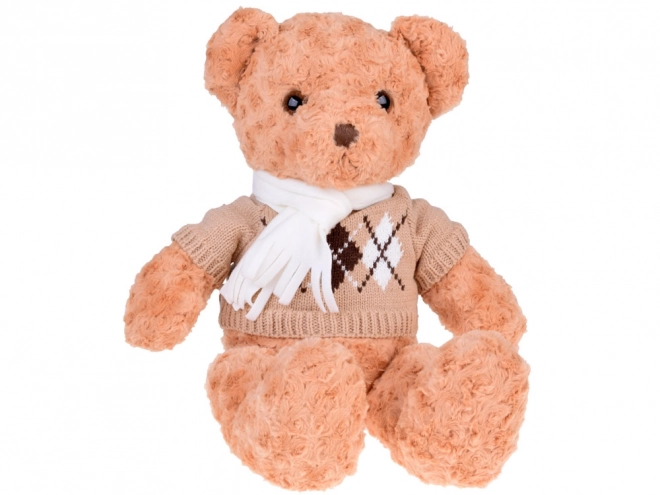 Soft Plush Teddy Bear in Sweater and Scarf