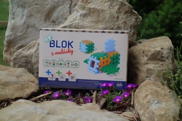 Block Building Set from Molasses