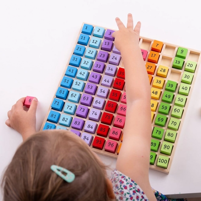 Wooden Numbers Learning Set