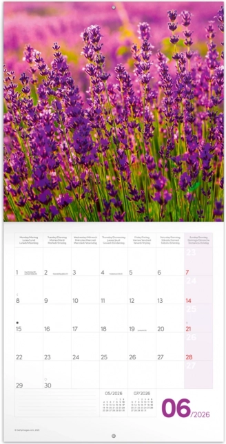 Notebook Calendar Provence 2026