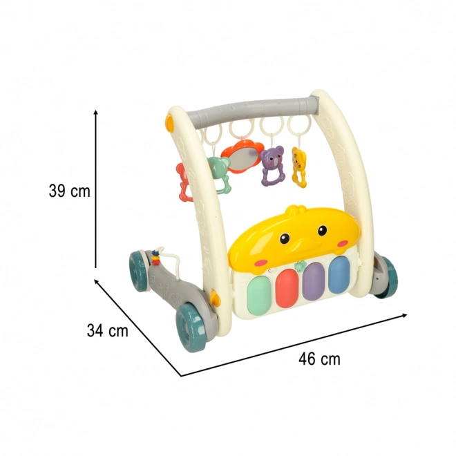 Educational Play Gym and Walker with Piano 2-in-1 Gray