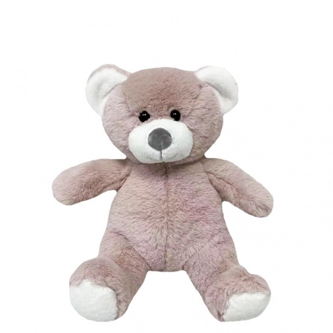 Teddy Bear Pink Plush