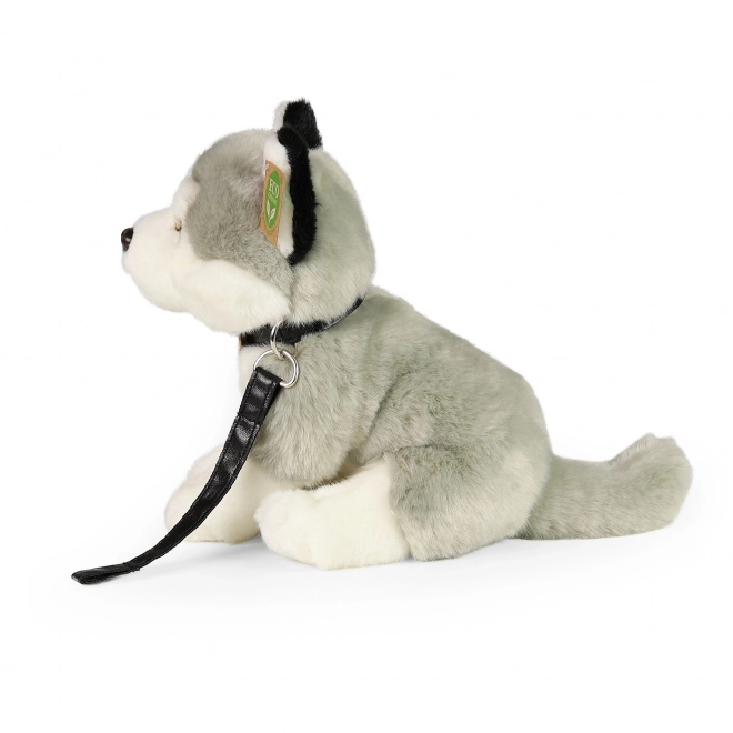 Plush Husky Dog with Leash