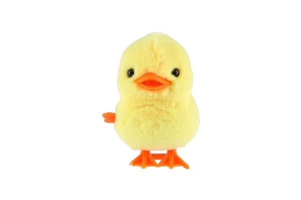 Wind-Up Duck Toy Set