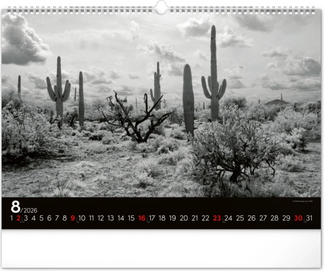 Calendrier mural Paysage de rêve 2026