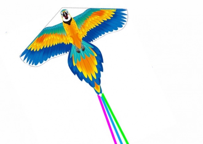 Large Colorful Parrot Kite with Long Tail