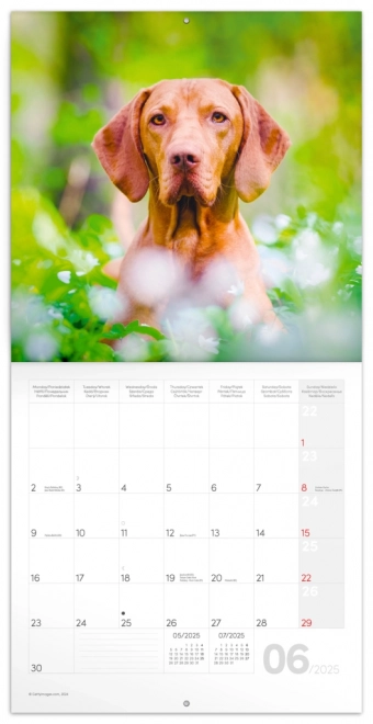 Notique Dog Calendar 2025